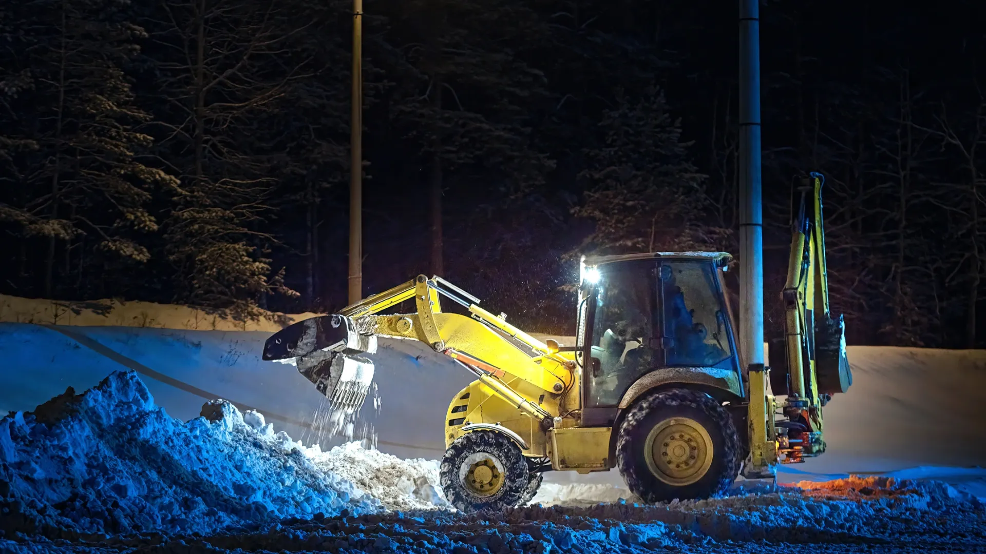 Фото: Tricky_Shark/Shutterstock/Fotodom