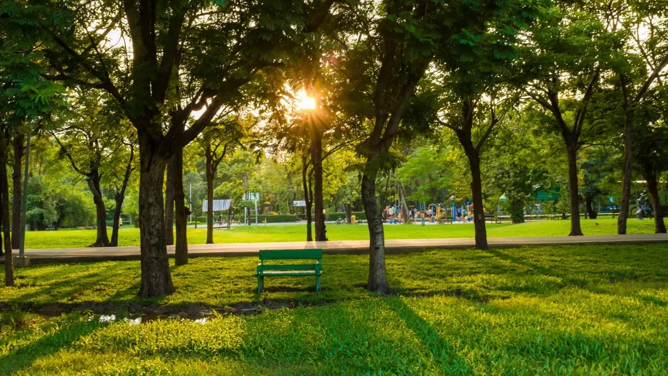Фото: Makhh / shutterstock.com