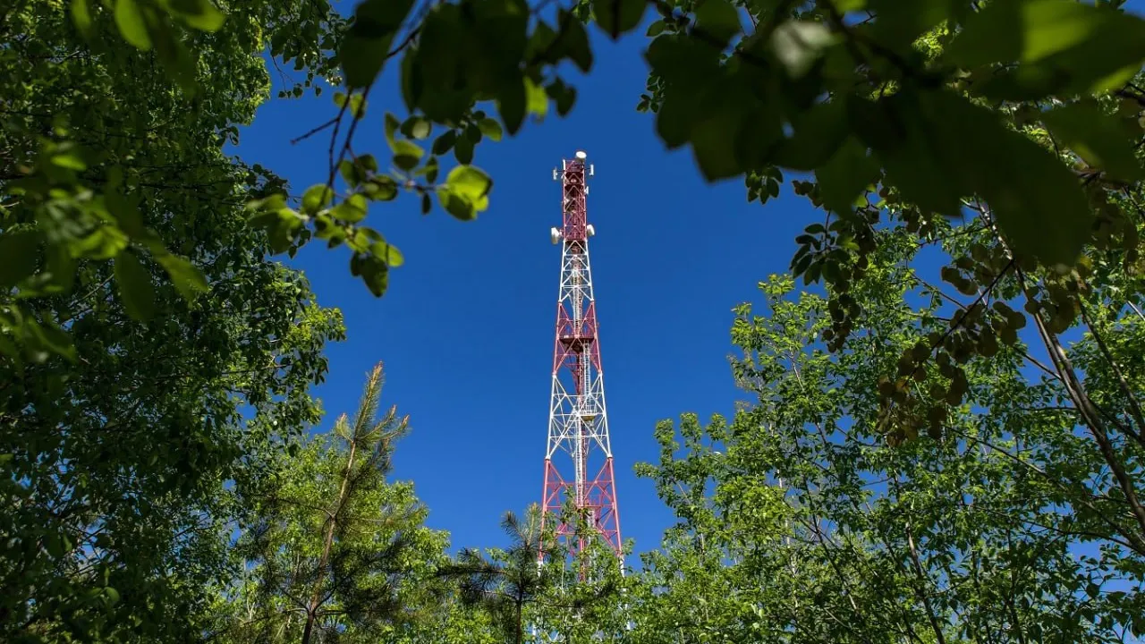 Фото: предоставлено пресс-службой Мегафон