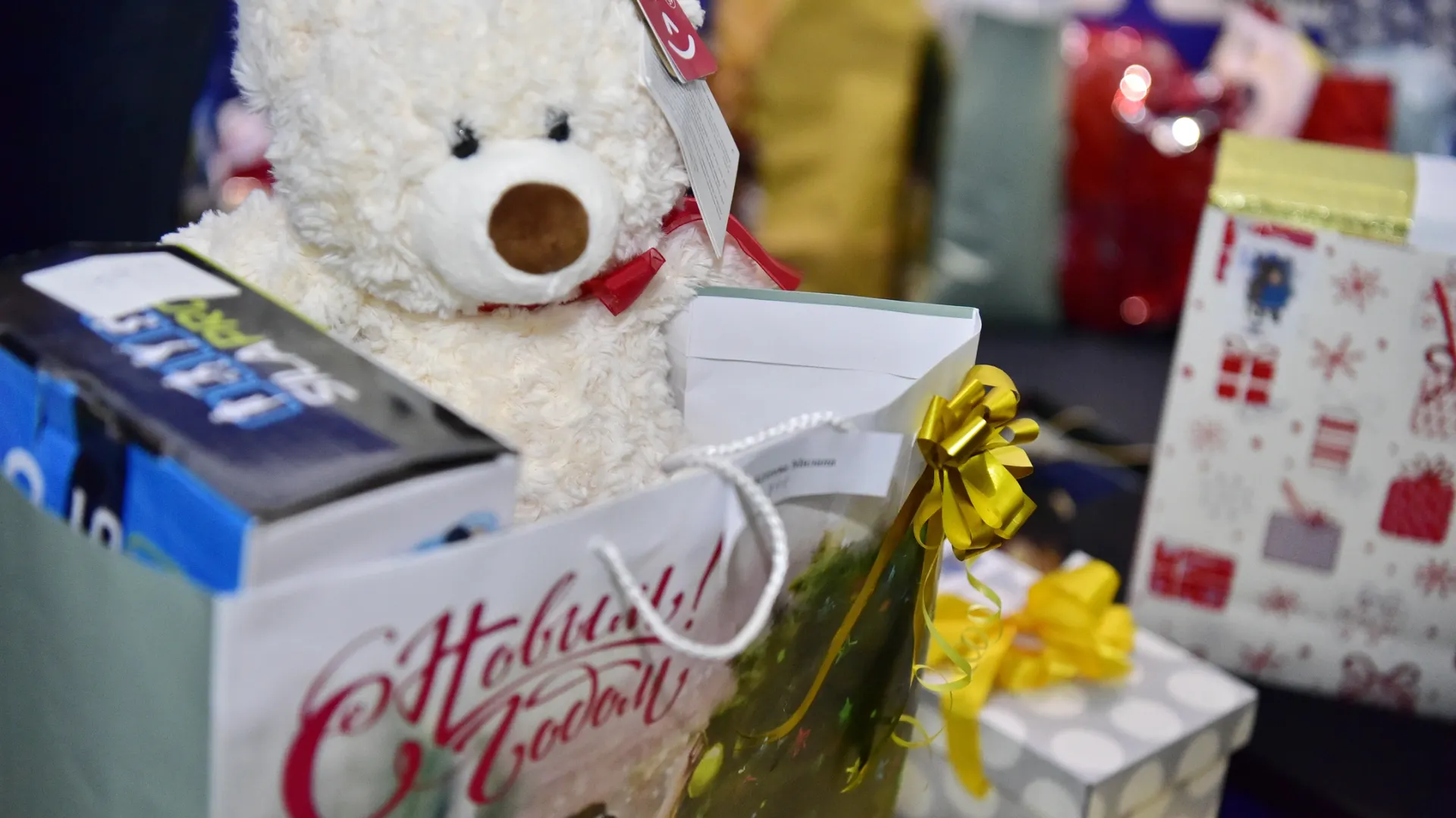 Фото: Андрей Ткачёв / «Ямал-Медиа»