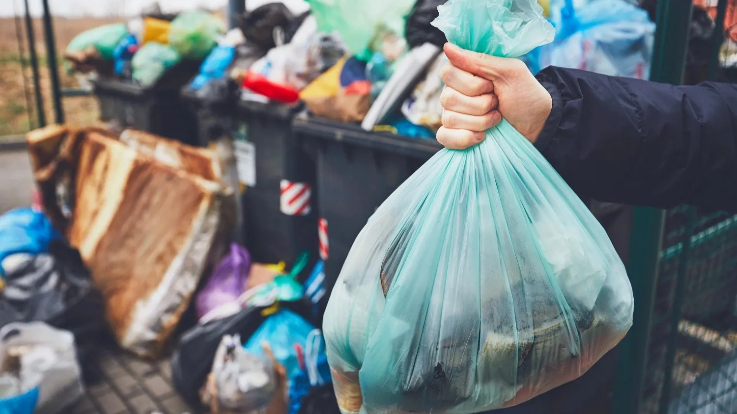 После сигнала мусор должны вывезти за день. Фото: Jaromir Chalabala / shutterstock.com