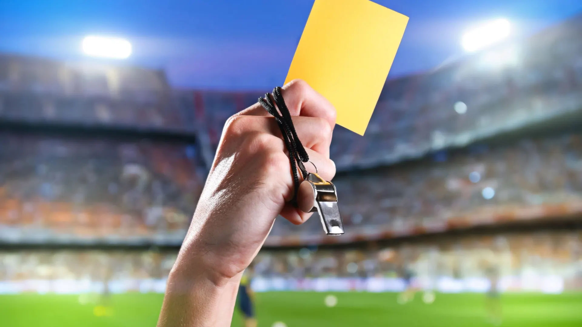 Фото: GIROMIN STUDIO/Shutterstock/Fotodom