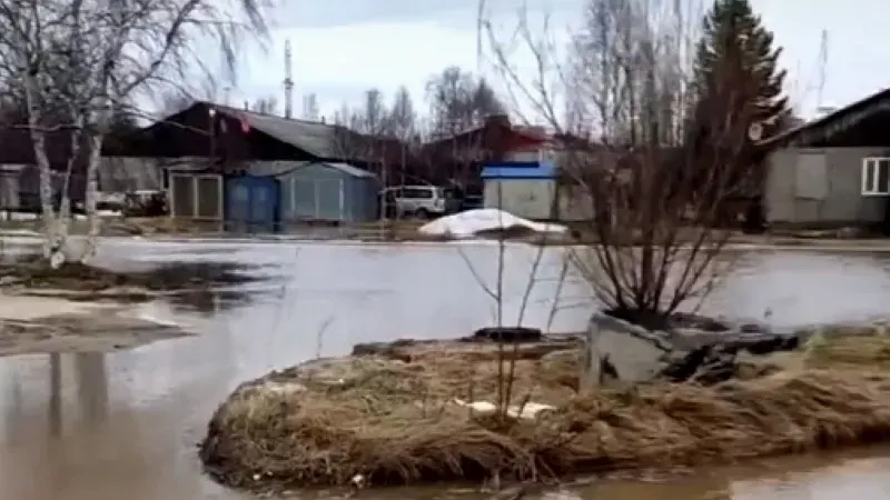 Кадр из видео: Дмитрий Михайлов/vk.com/nojabrsk112
