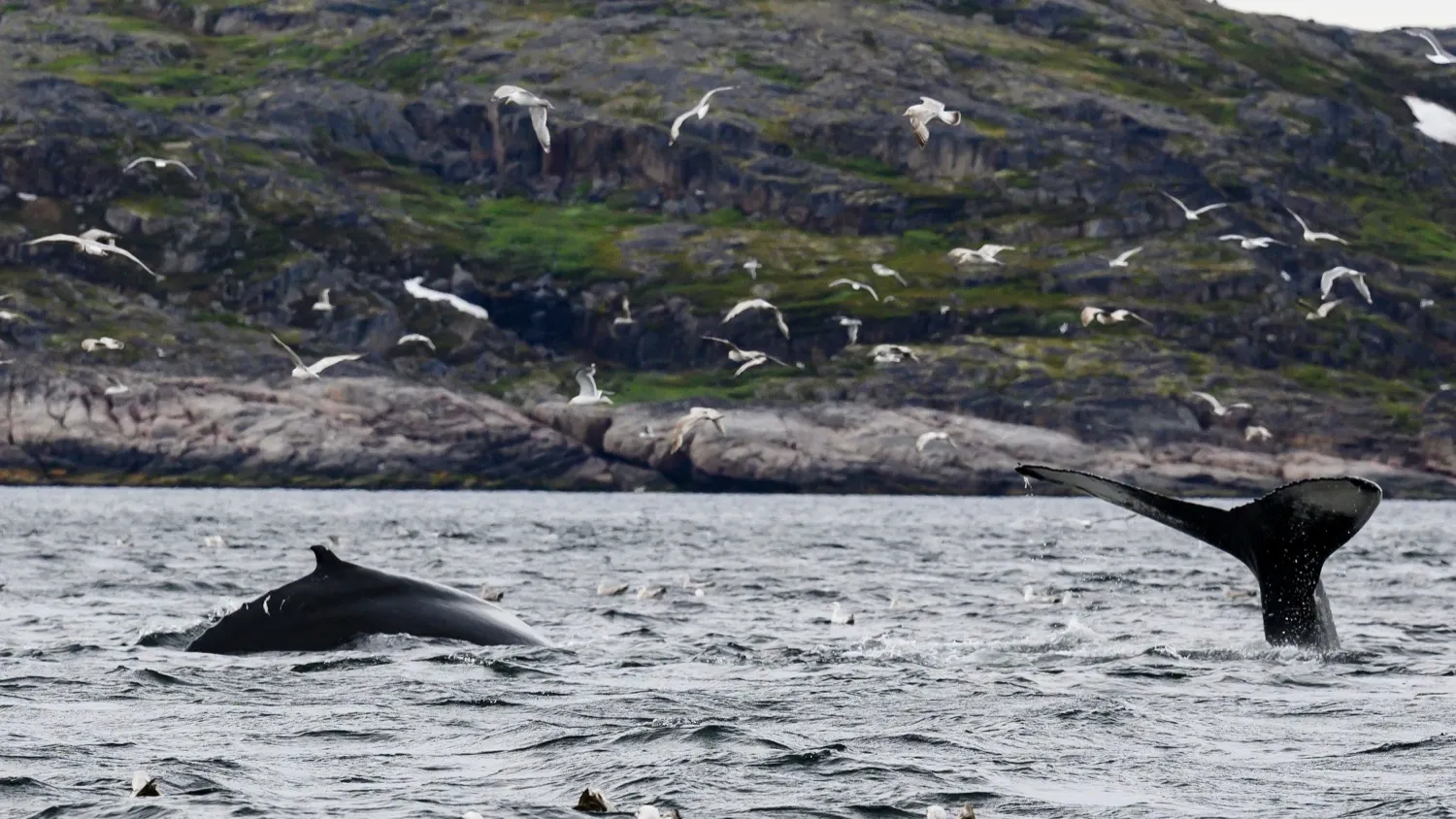 Фото: предоставлено из личного архива Андрея Понамарёва