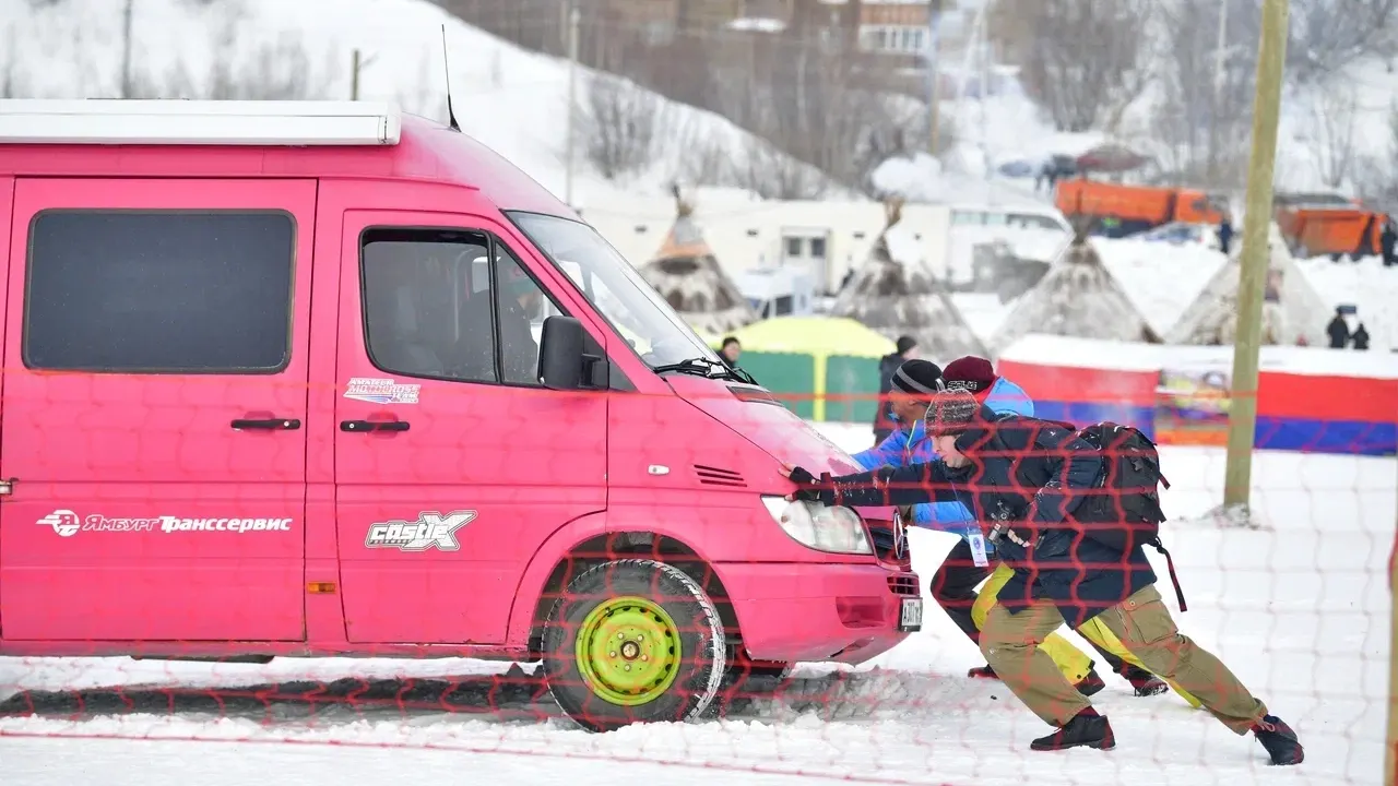Куда на Севере без друзей!
