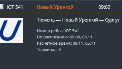 Фото: скриншот онлайн-табло аэропорта Рощино / tjmport.ru
