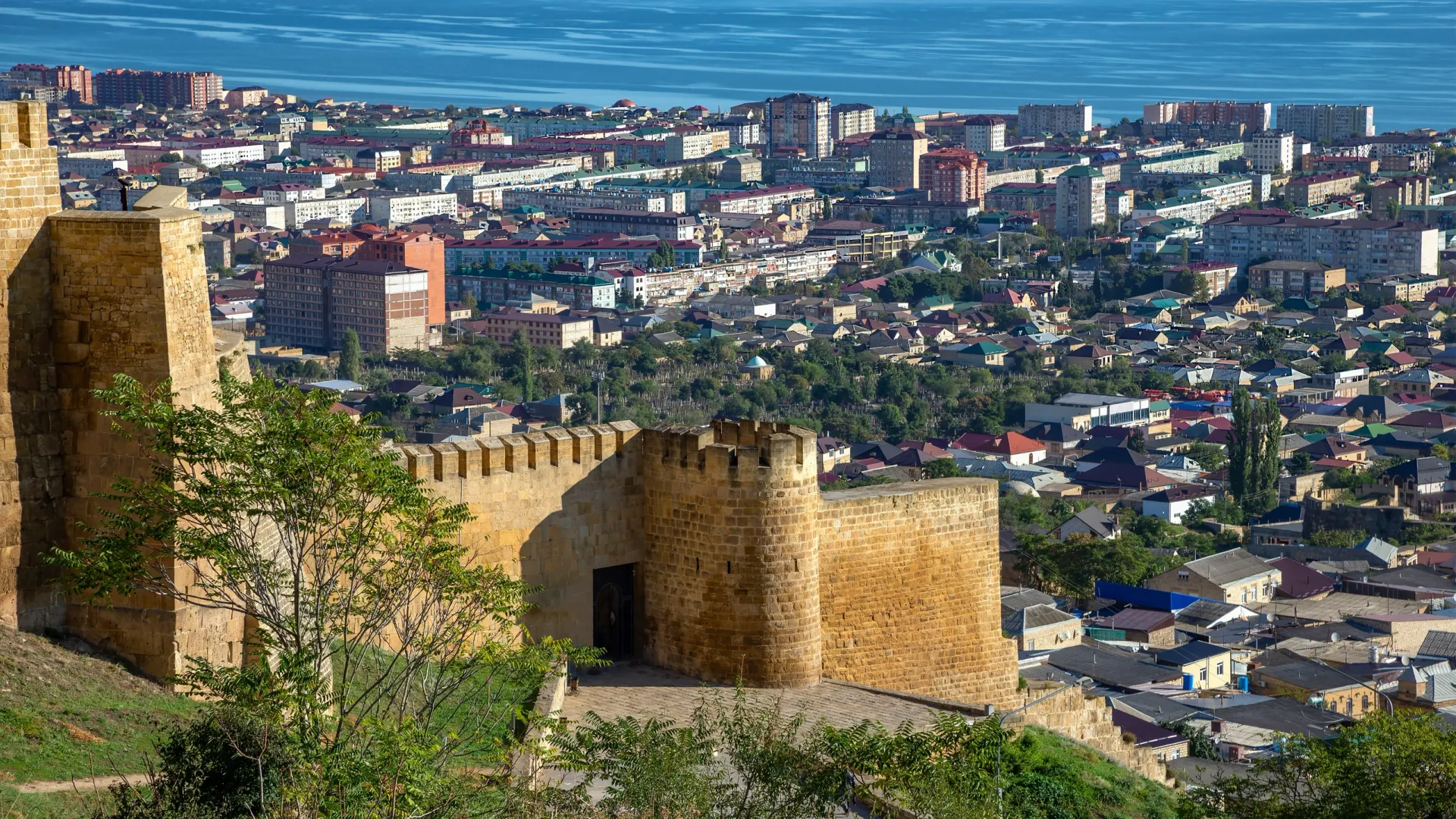 Фото: shushonok / Shutterstock / Fotodom