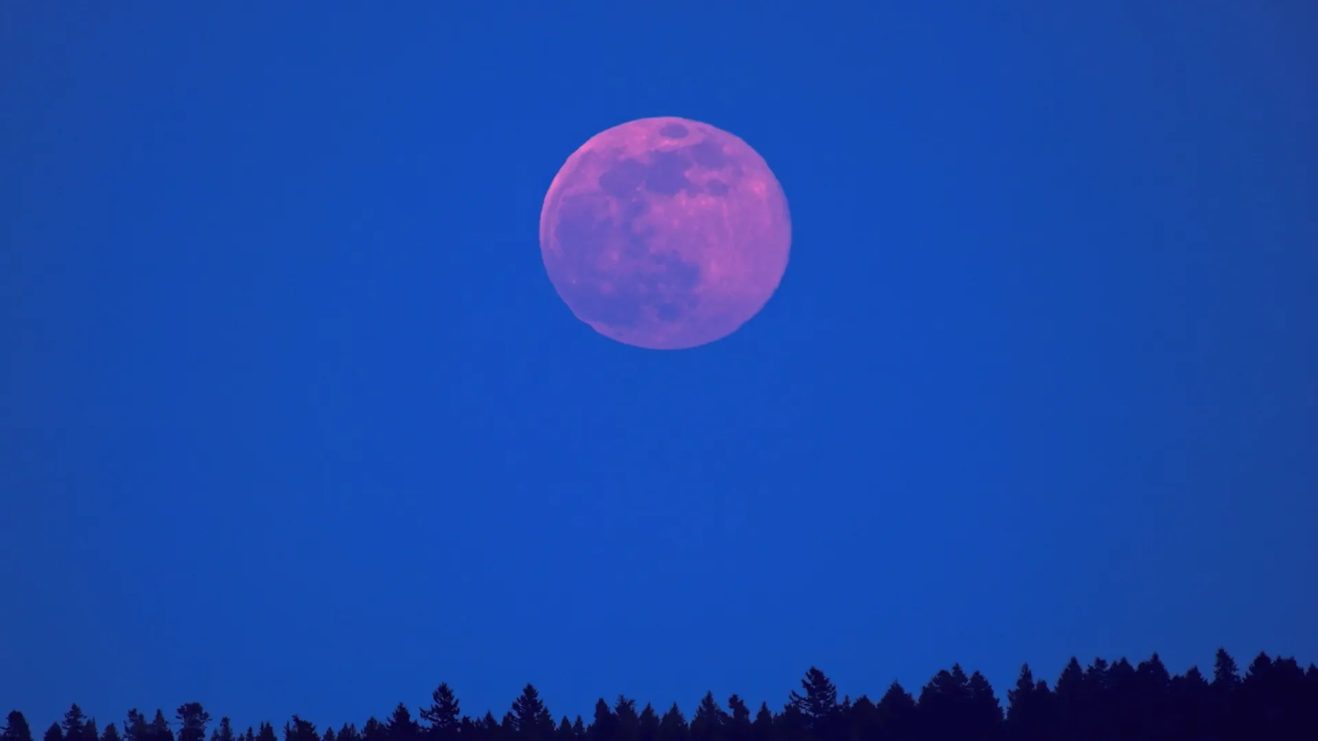 Фото: pr2is/Shutterstock/Fotodom