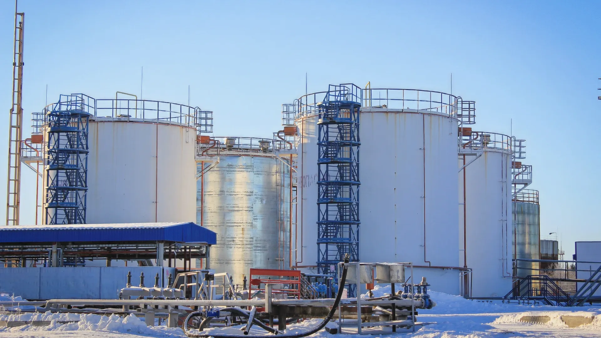 Фото: Марьяна Коляджин/ Администрация Пуровского района