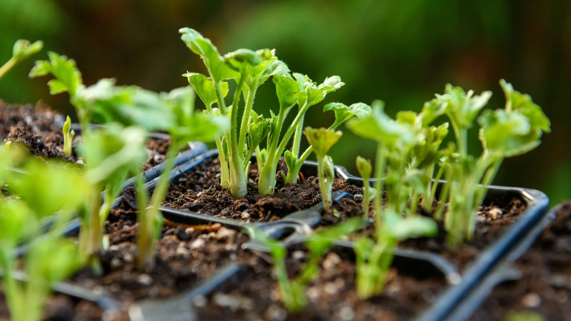 Фото: ABO PHOTOGRAPHY/Shutterstock/Fotodom