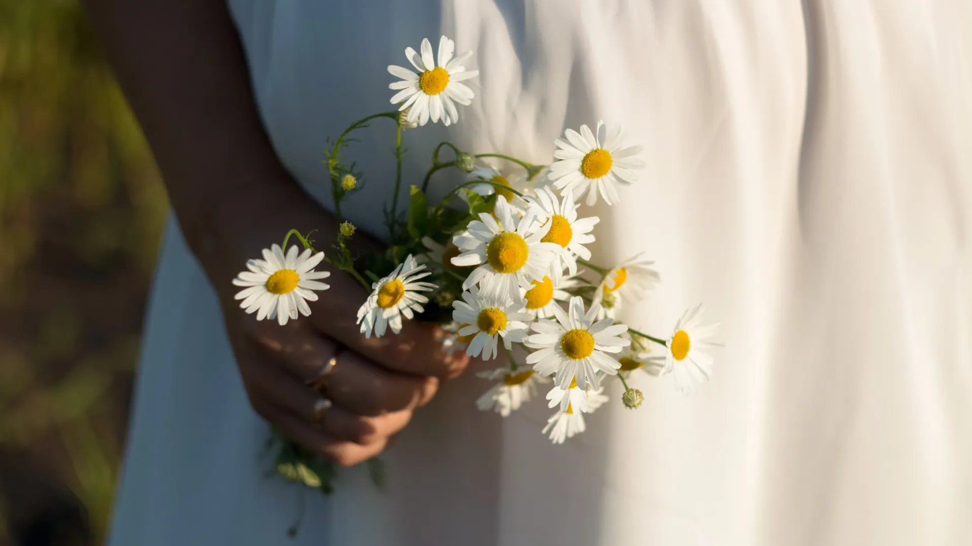 Фото: ylyastik / Shutterstock / Fotodom