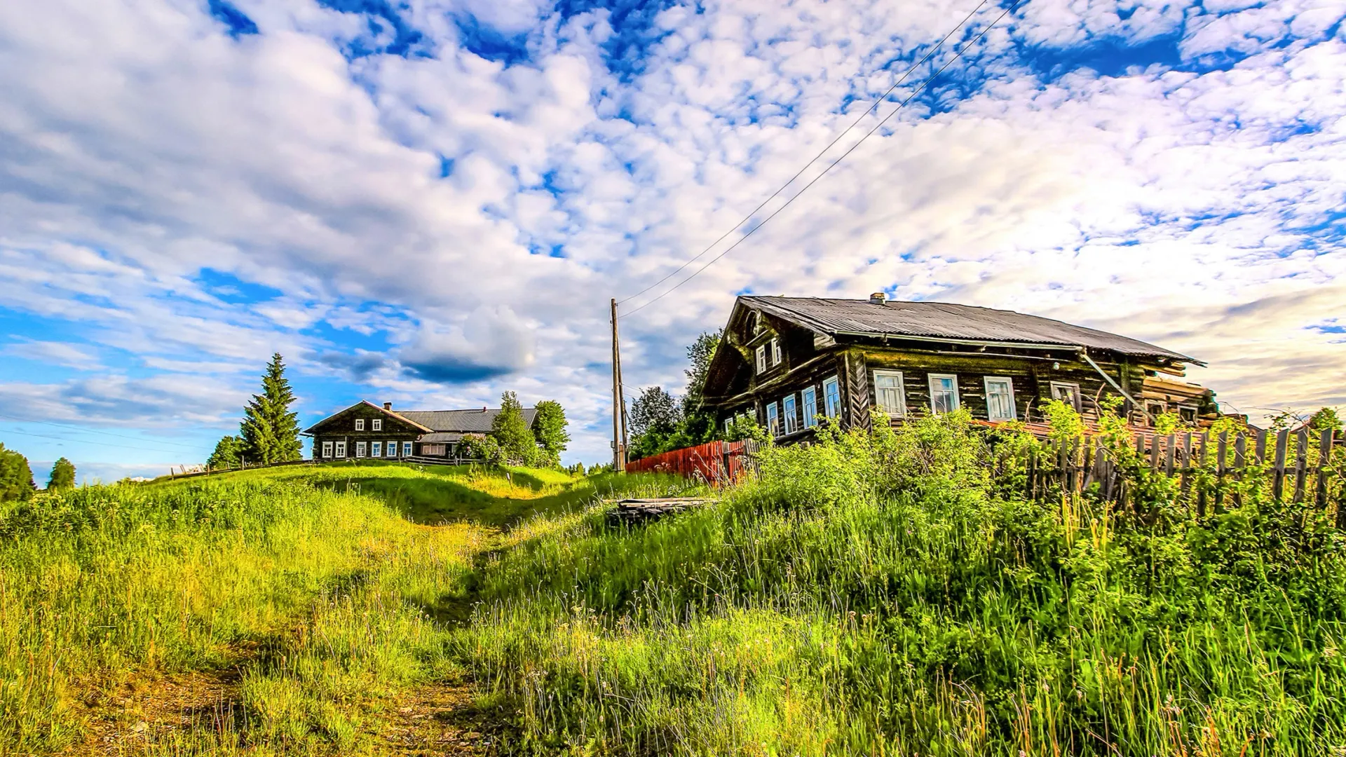 Фото: Nikolay Zaborskikh / Shutterstock / Fotodom