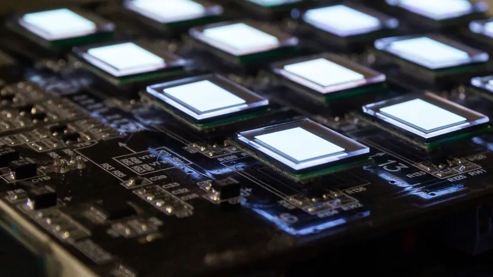 Фото: Titolino / Shutterstock.com