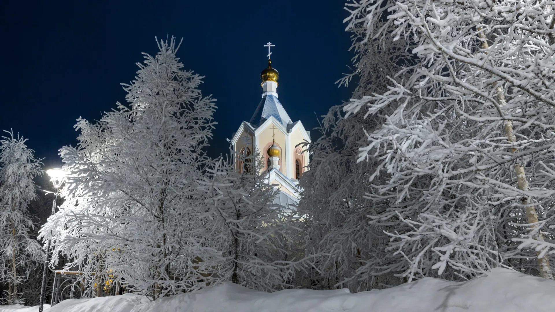 Фото: Федор Воронов / АНО «Ямал-Медиа»