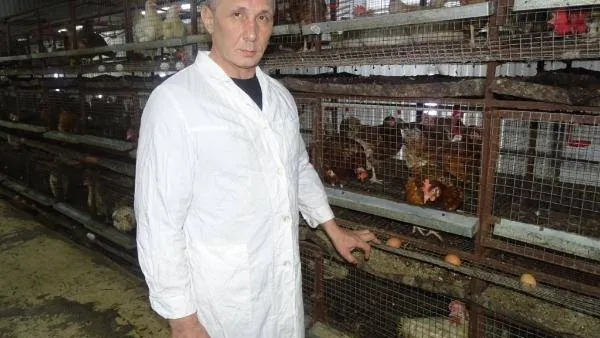 Фото: Валерия Акименко / КРАСНЫЙ СЕВЕР