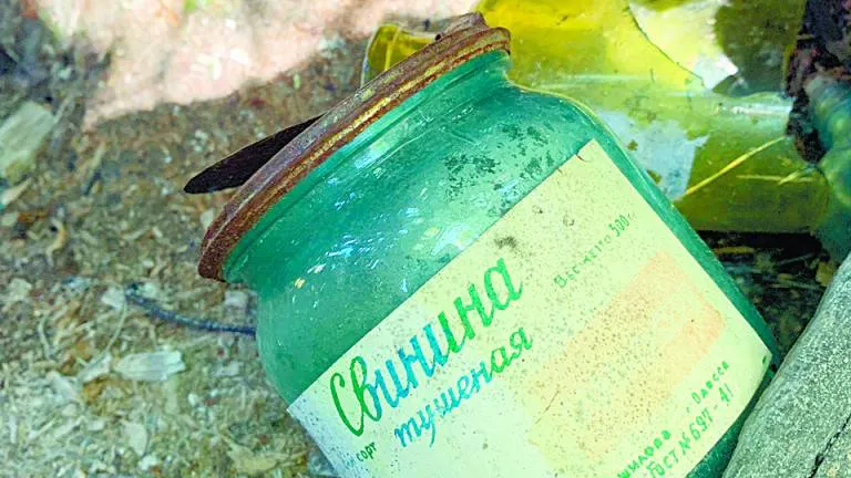 Фото: Юлия Чудинова / КРАСНЫЙ СЕВЕР