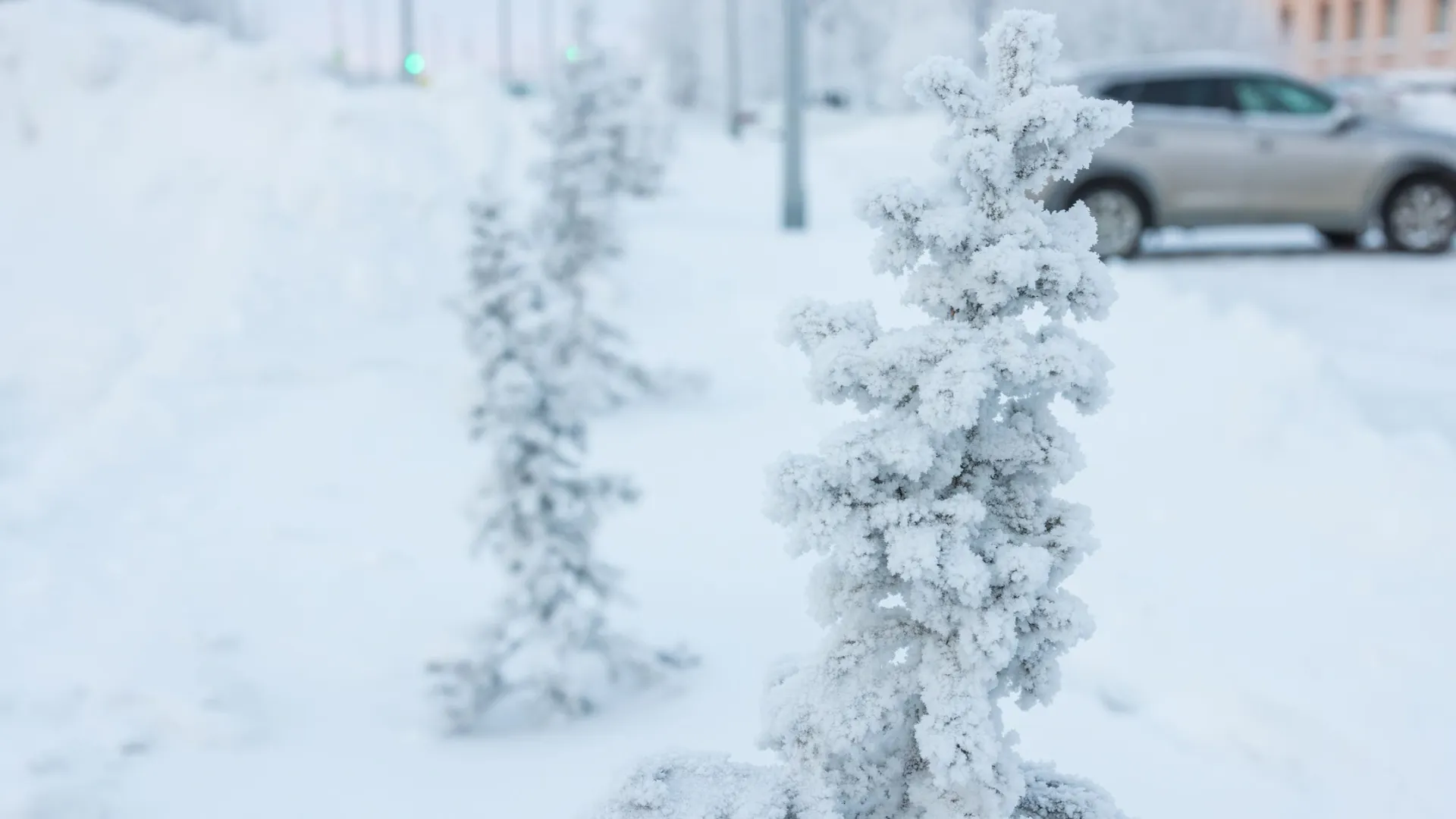Фото: Юлия Чудинова/«Ямал-Медиа»