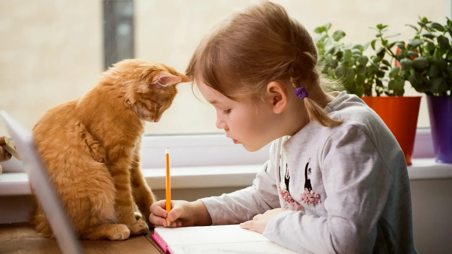 Фото: Sharomka/Shutterstock/Fotodom