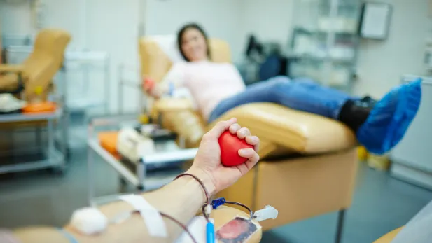 Фото: Pressmaster / shutterstock.com