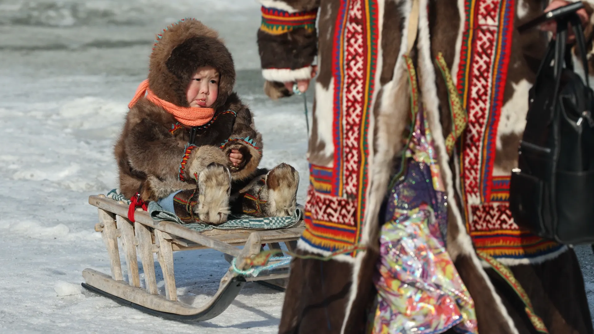 Фото: Андрей Ткачёв / «Ямал-Медиа»