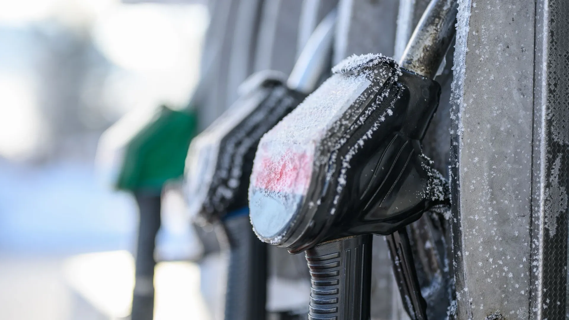 Фото: Sara Borbala Balogh/Shutterstock/Fotodom