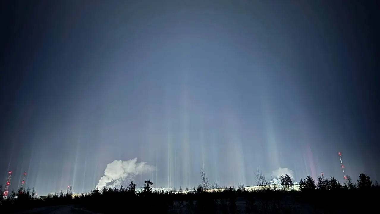 Фото: телеграм-канал Дмитрия Жаромских / t.me/zharomskih_DG