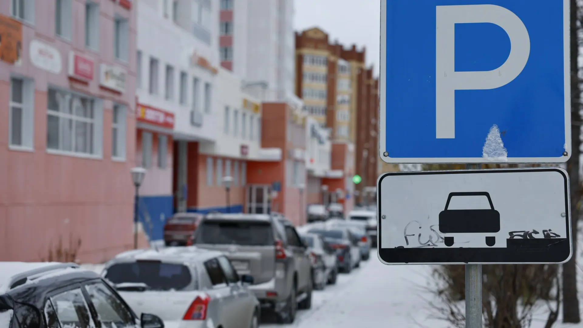 Фото: Андрей Ткачёв/«Ямал-Медиа»