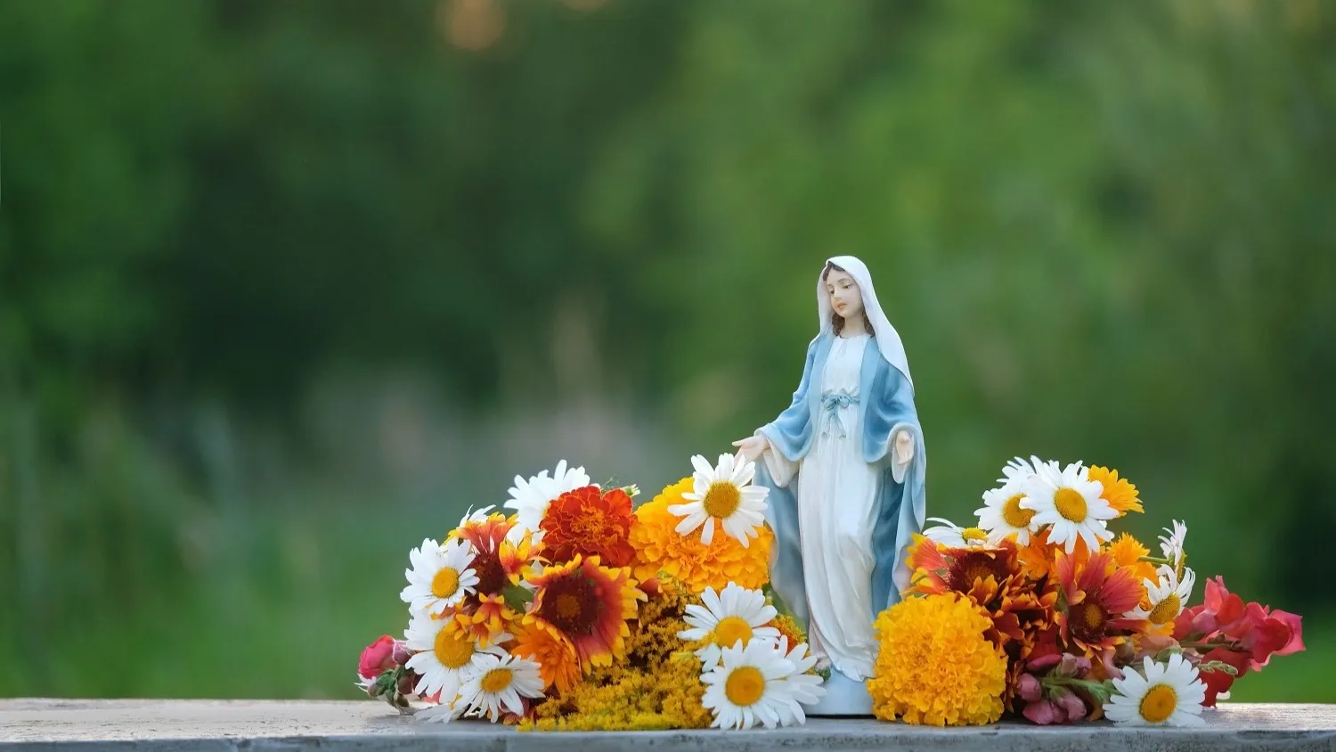 Фото: ju_see/Shutterstock/Fotodom Фото: ju_see/Shutterstock/Fotodom