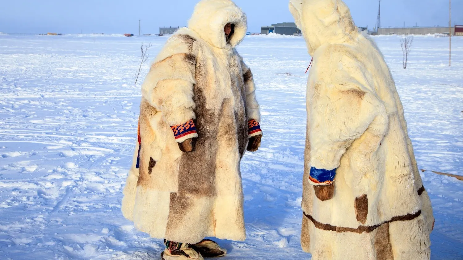 Фото: evgenii mitroshin / shutterstock.com / Fotodom