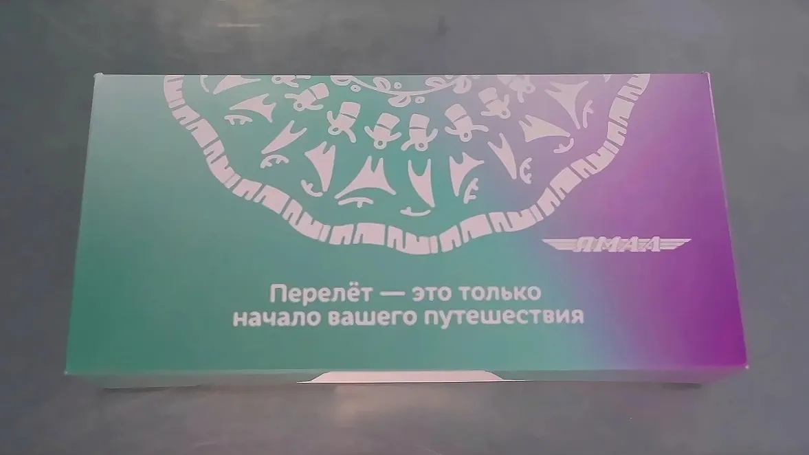 Ланч-боксы включают не только питание, но и информацию для туристов. Кадр из видео: vk.com/yamal_airlines