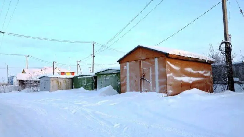 Фото: Василий Петров / «Красный Север»