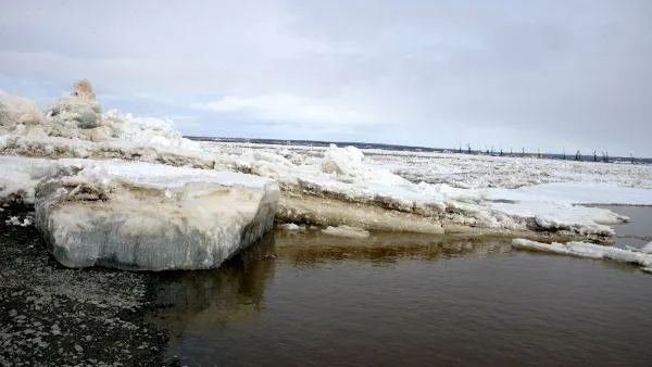 Фото: Александр Бейфус