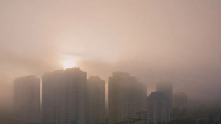 Фото: Kateryna Mostova/Shutterstock/Fotodom