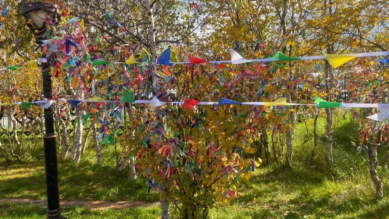 Фото: Кристина Алтынова / «Красный Север»