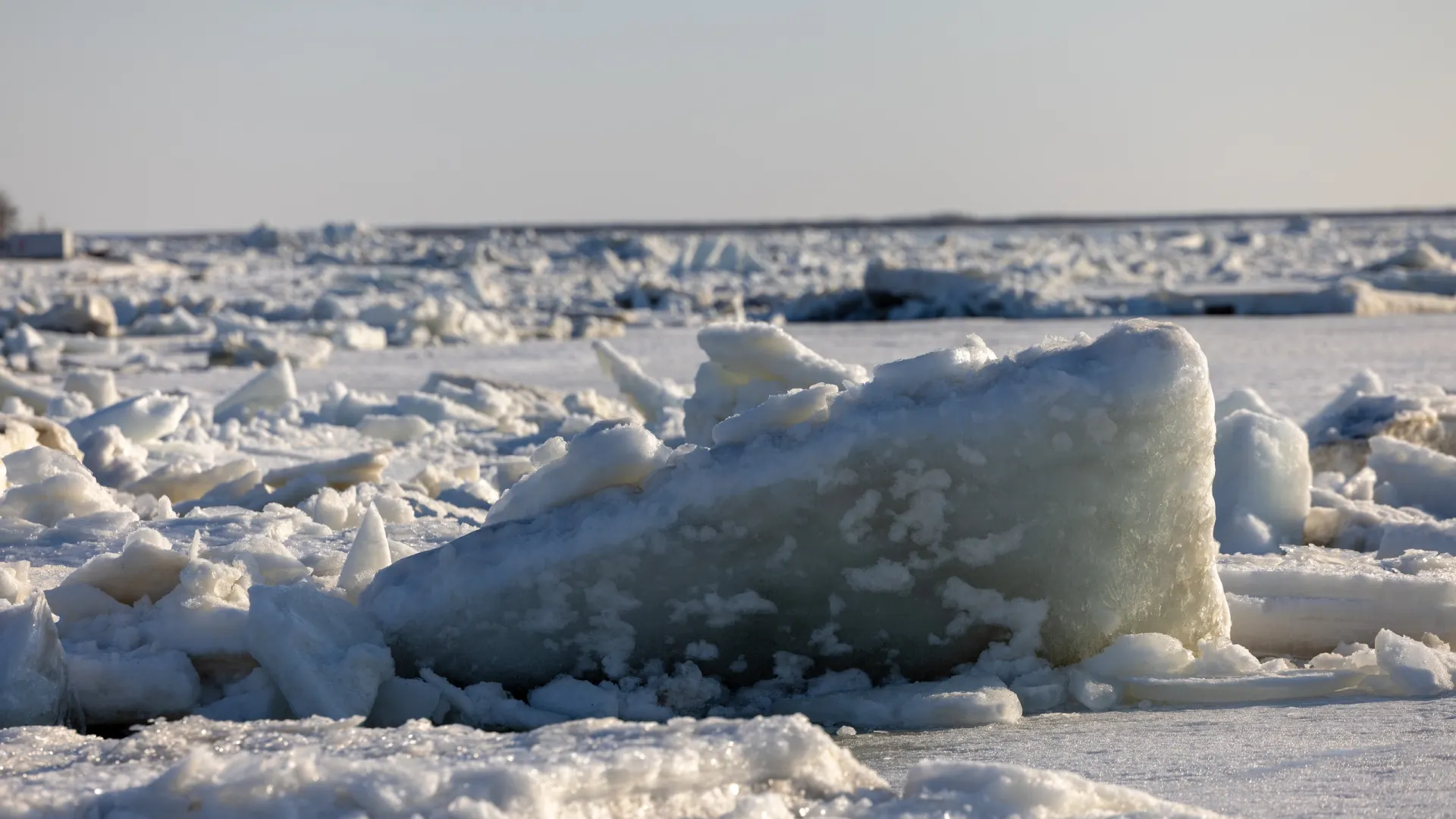 Фото: Сергей Зубков / «Ямал-Медиа»