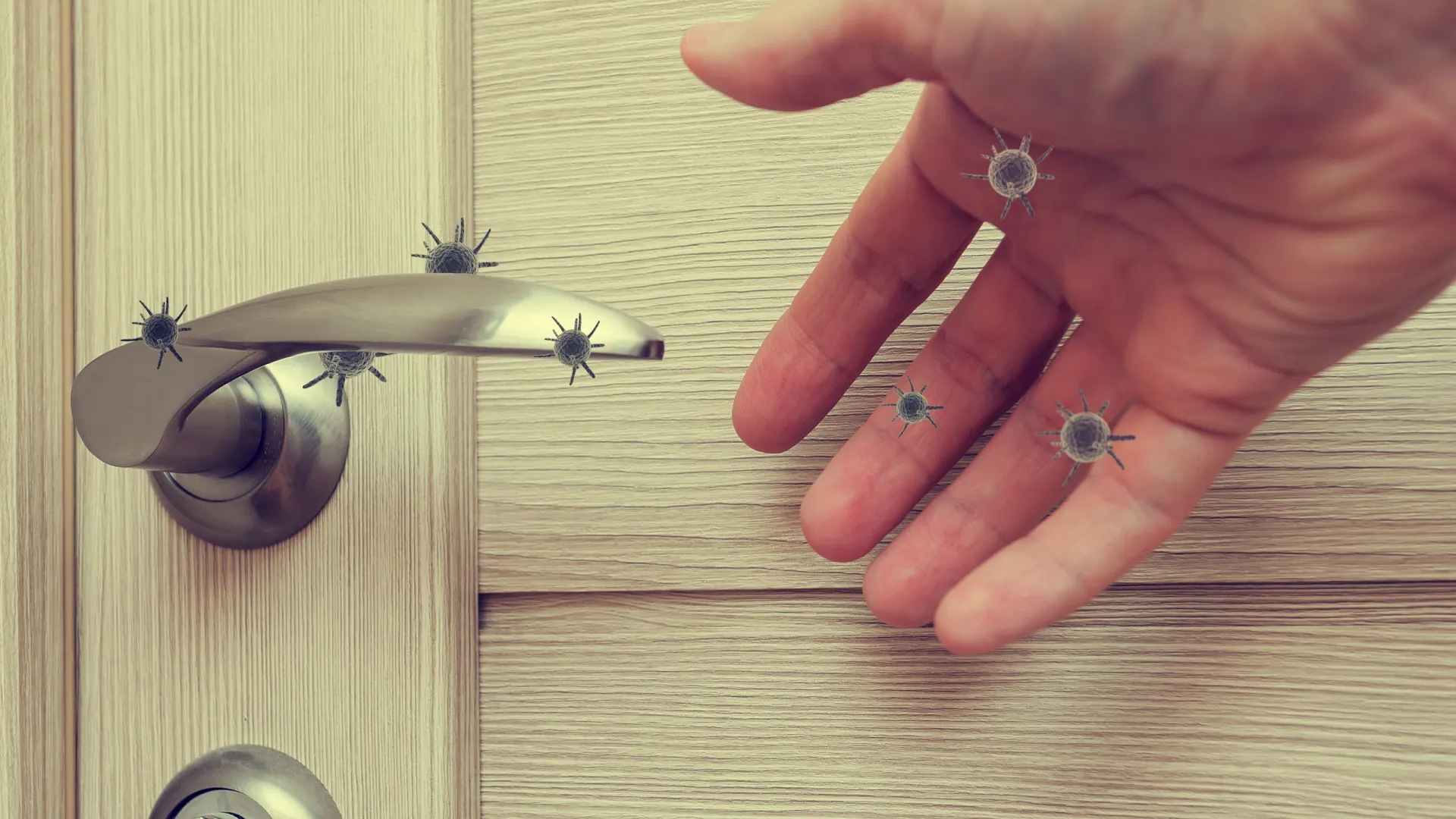 Фото: Kapustin Igor / Shutterstock / Fotodom