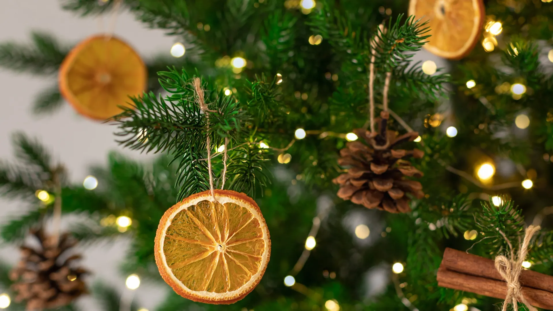 Mila Naumova / Shutterstock / Fotodom