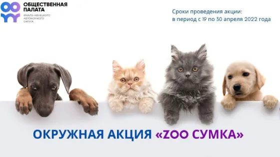Фото: Общественная палата ЯНАО, «ВКонтакте»