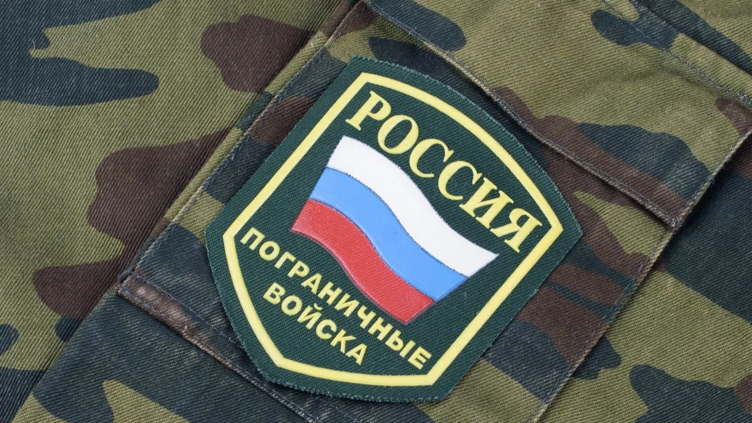 Фото: Militarist / shutterstock.com / Fotodom