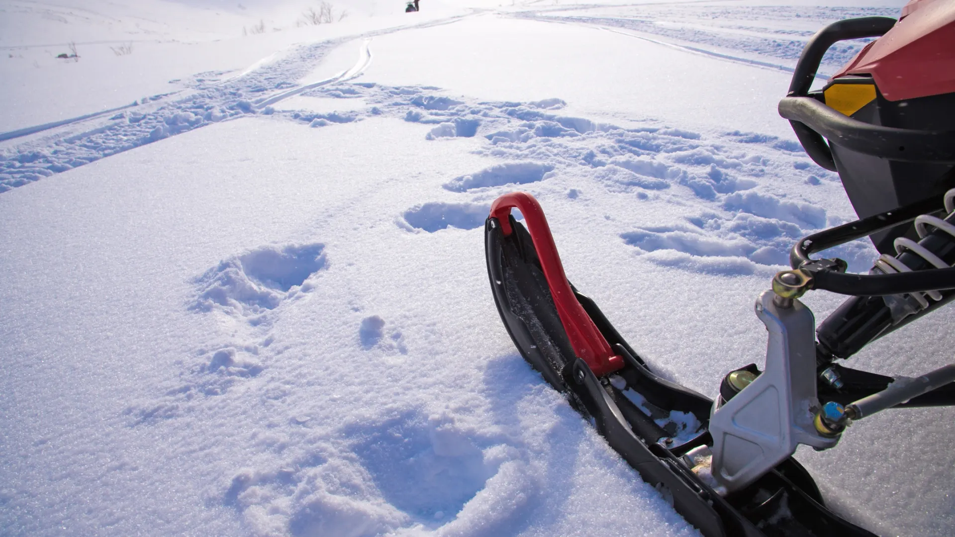 Фото: Natasha-Aleksandra / Shutterstock / Fotodom