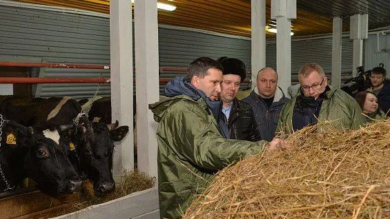 Фото предоставлено пресс-службой губернатора ЯНАО