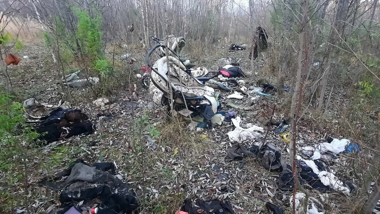 В Надыме не каждый доносит свои вещи до мусорного контейнера. Видимо, сил и совести не хватает. Фото: vk.com/zloynadym