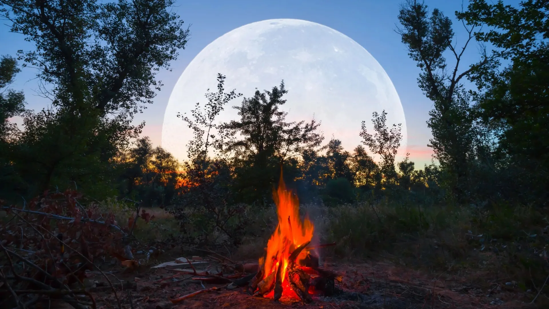 Именины Земли принято отмечать разведением костров. Фото: Yuriy Kulik / Shutterstock / Fotodom