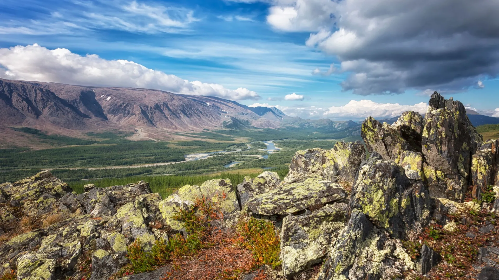 Стороны поговорили о мерзлоте, лесных пожарах и недропользовании. Фото: Shchipkova Elena / shutterstock.com / Fotodom