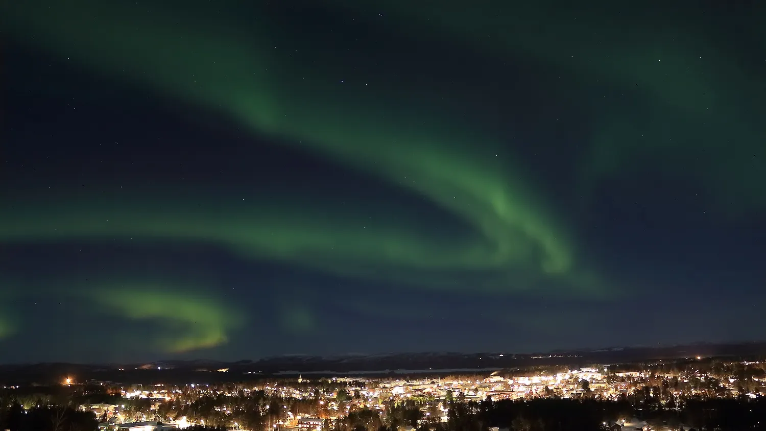 Фото: shutterstock.com
