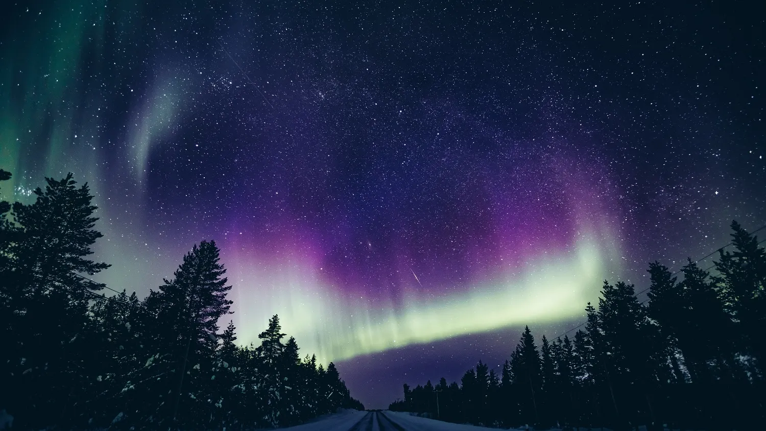 Фото: nblx / shutterstock.com