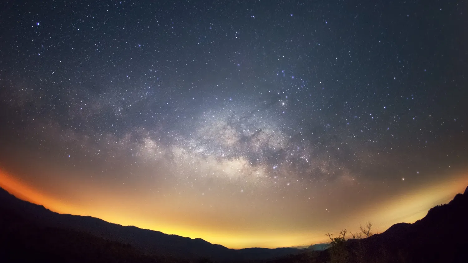 Фото: 24Novembers / shutterstock.com