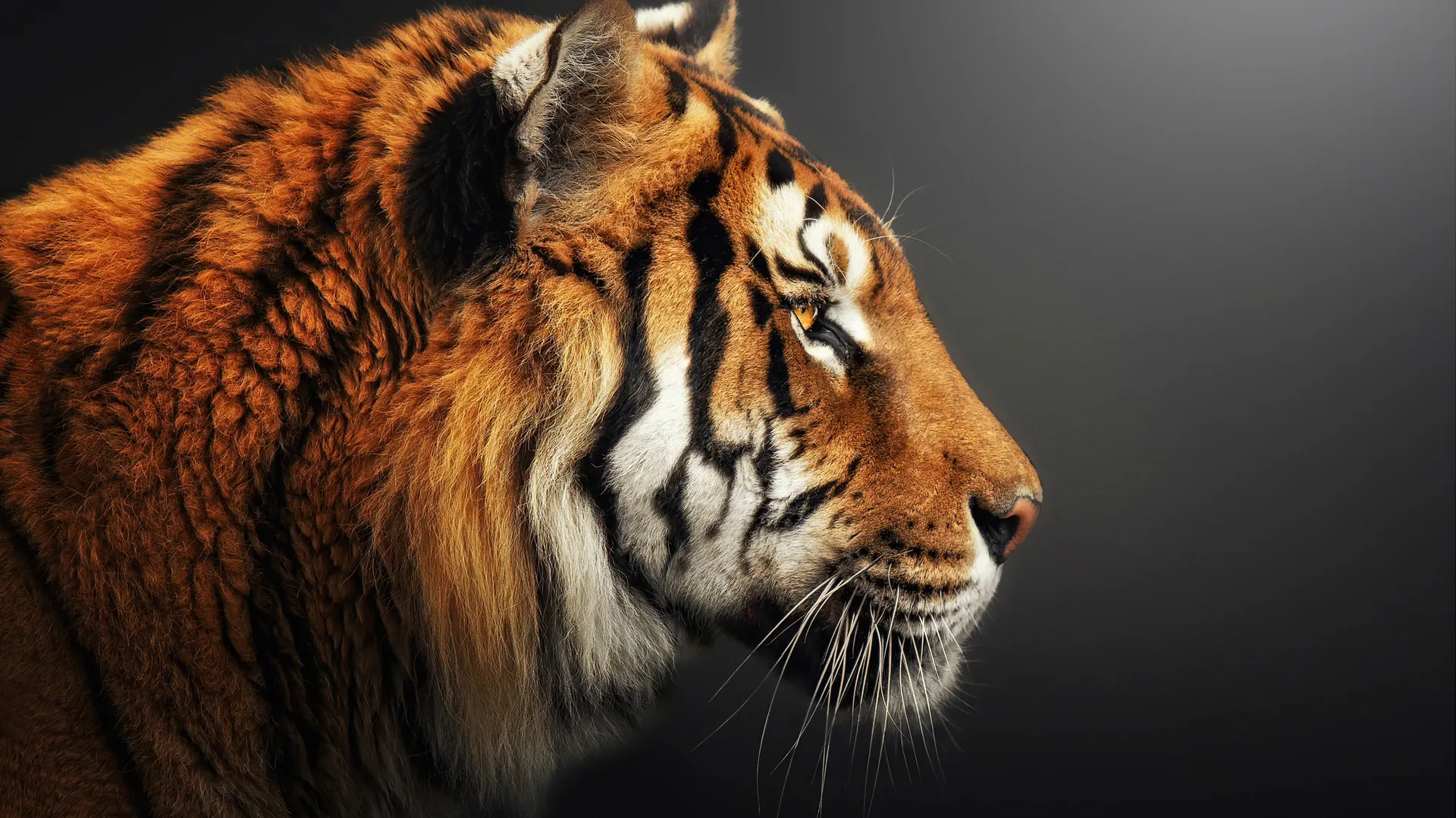 Фото: Tomas Hejlek / Shutterstock / Fotodom