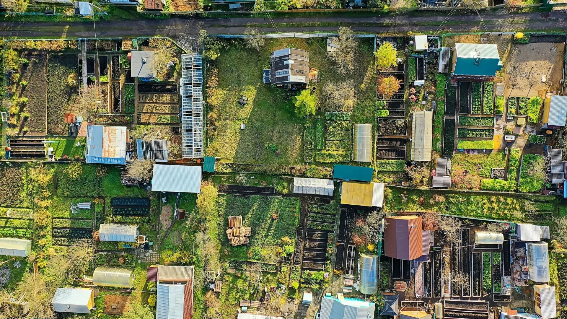 Фото: Kichigin/Shutterstock/Fotodom