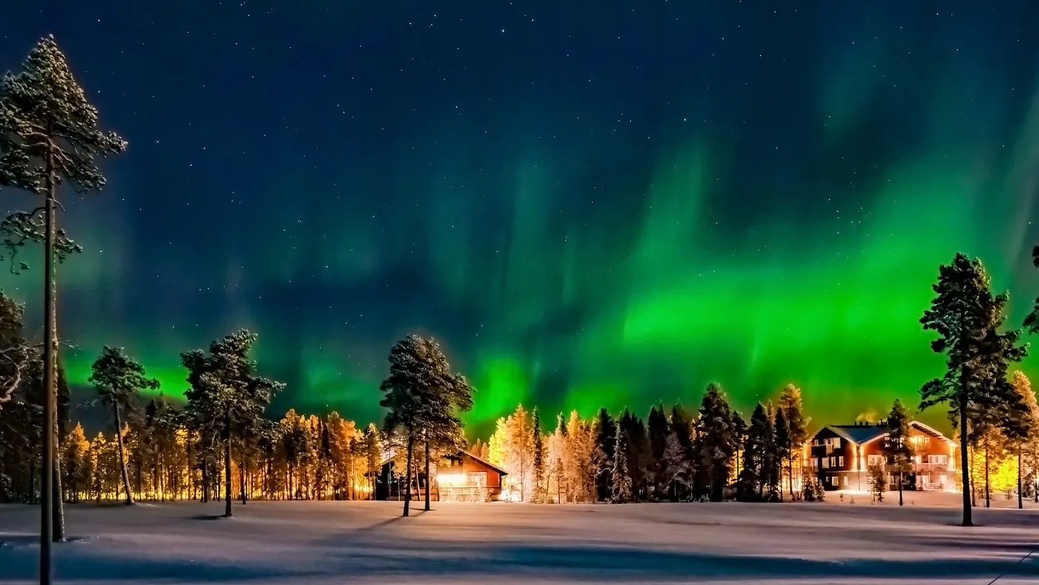 Фото: SSV.Photo / shutterstock.com